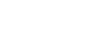 Motorola Logo